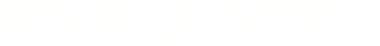 ECC_Logo